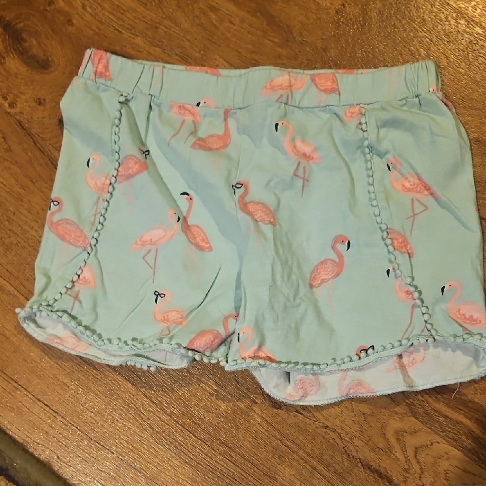 Rumi & Ryder Girls Flamingo Shorts Size 8-10